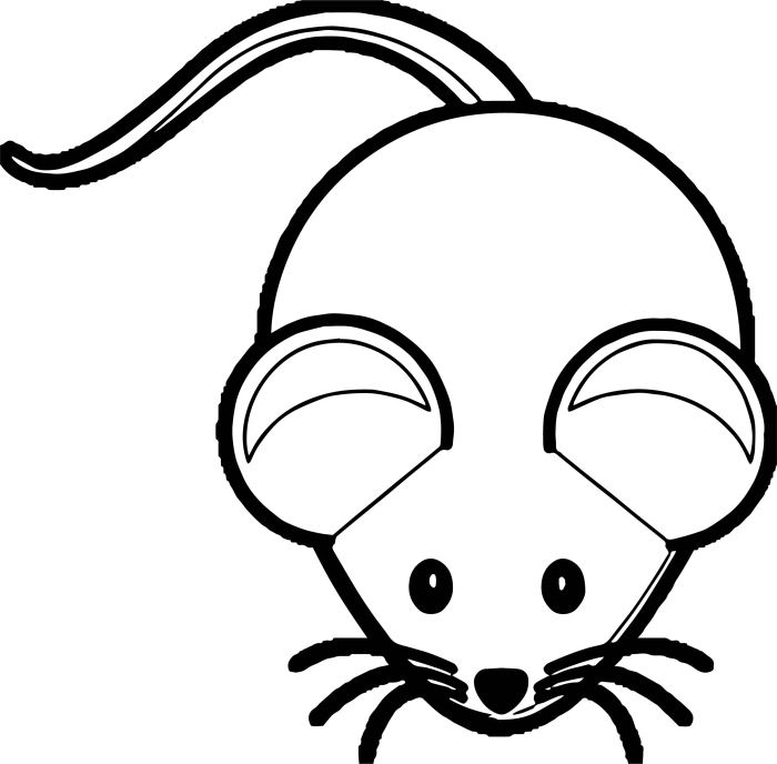 Coloring pages mouse