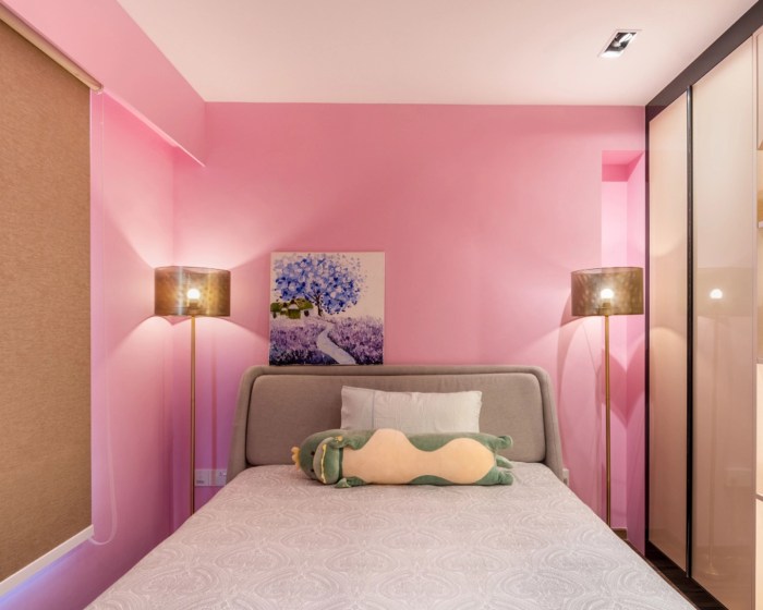 Bedroom pink wall paint design